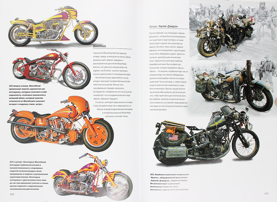 Harley Davidson на дороге жизни / Саладини А., Сцимезак П. М.: Астрель, [2012].